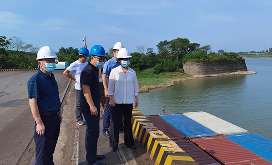 林红华调研盐关水运口岸