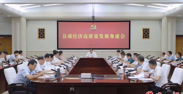 罗毅君主持召开县域经济高质量发展务虚会